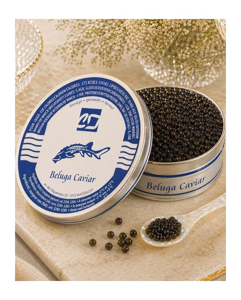 Caviar Beluga – Caviar d’exception en ligne | Livraison France